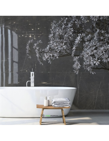 Silver Grey Eco Pulido 60x120